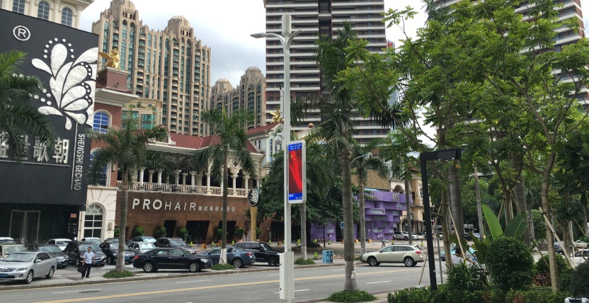 東莞智慧路（lù）燈
