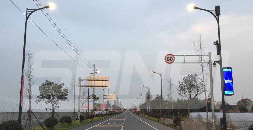 浙（zhè）江大雲溫（wēn）泉大道智慧路燈