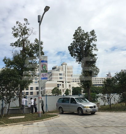 深（shēn）圳龍崗智慧路燈