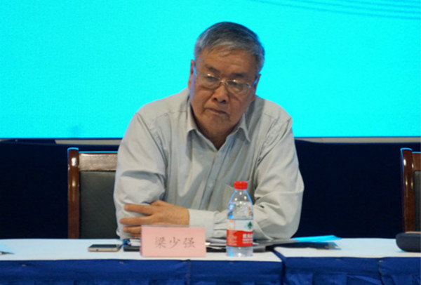 上海市照明（míng）學會副（fù）理事長梁少強