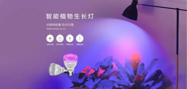 智能植物生長燈首發，上（shàng）線獲緊俏