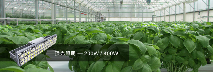 www.91·頂光（guāng）照明