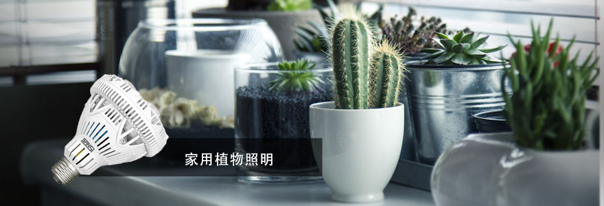 www.91·植物照明