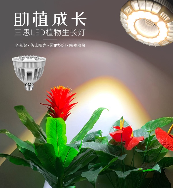 www.91（sī）家用LED植物生長燈