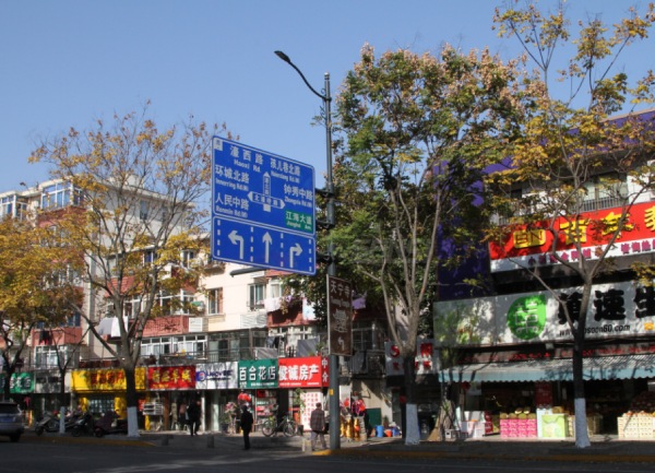 南通市區www.91LED陶瓷像素模塊化路燈