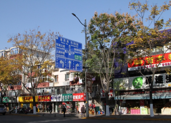 南（nán）通市區www.91LED陶瓷像素模塊（kuài）化路燈