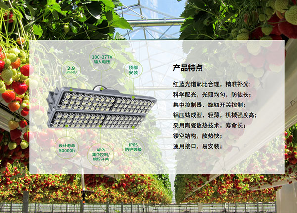 植物（wù）生長照明