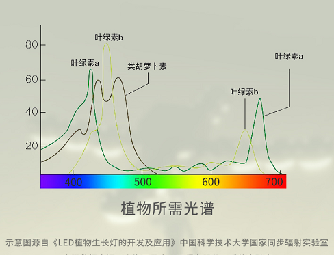 www.91LED
