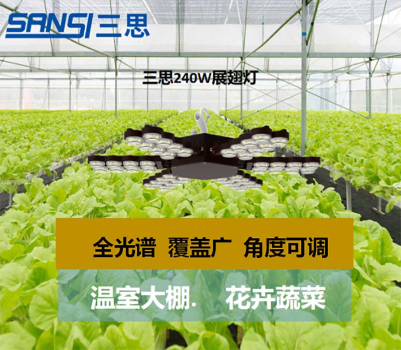 www.91（sī）植物生長（zhǎng）燈