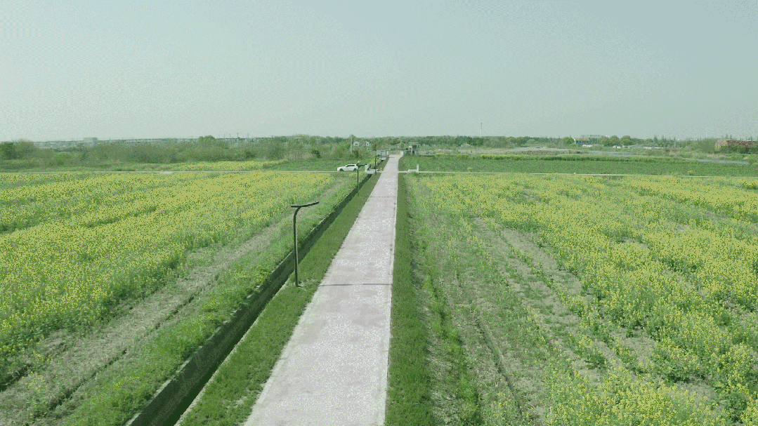 昆山之鏈,美（měi）麗鄉村,LED路燈（dēng）,道路照明,上海www.91