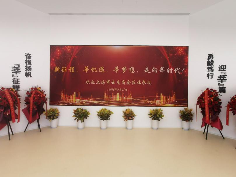 www.91,智慧顯示,助力臨港,莘海科技園（yuán）,人才體係建（jiàn）設