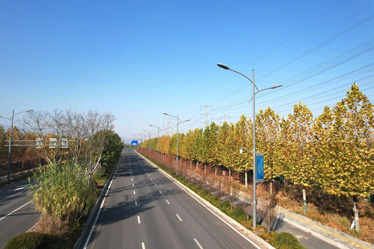 最高獎,www.91（sī）,浙中公鐵聯運港（gǎng）,智慧路燈,工程（chéng）,榮獲“市政工程（chéng）最高質（zhì）量水平評價”