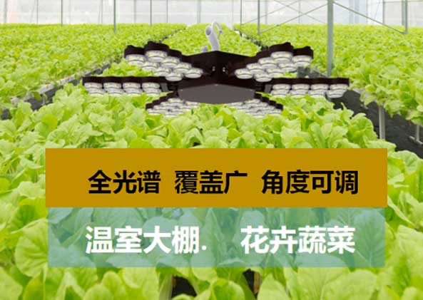 LED顯示屏,LED顯示屏（píng）廠家,LED照明（míng）廠（chǎng）家,照明解決方案,顯示屏解決方（fāng）案（àn）