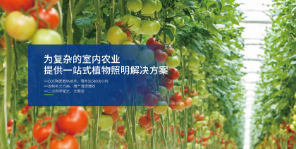 植物照明（míng）